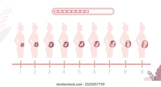 Silueta de niña con cambios en el cuerpo de la mujer en el embarazo. Principales etapas del embarazo. Maternidad, mujer embarazada. Barra de carga. Tres trimestres. Etapa mensual, infografía médica. Bebé esperando.