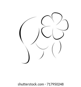 Silhouette of girl head and hair with flower