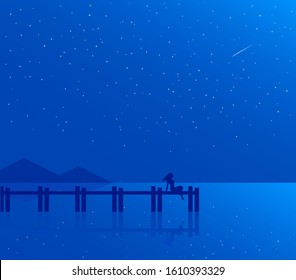 Silhouette of a girl on a wooden pier. Resting by the lake against the backdrop of a beautiful landscape. Stars in the night sky. Vector horizontal illustration.