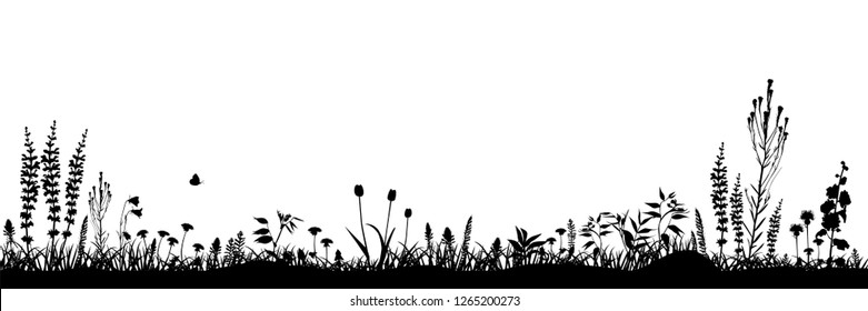 Silhouette glade with flowers, plants, grass, vector.