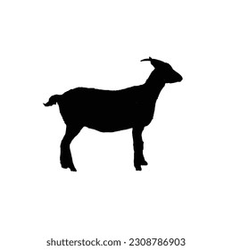 A silhouette of a goat