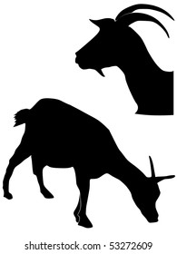 silhouette of goat