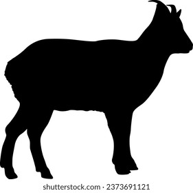 Silhouette goat animal farm on a white background.