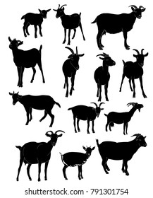 silhouette goat with horns set
