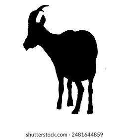 silhouette of a goat - vector illustration