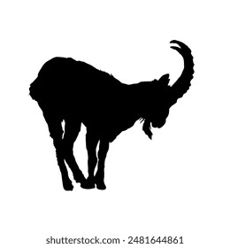 silhouette of a goat - vector illustration