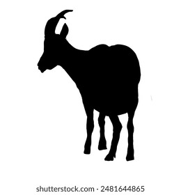 silhouette of a goat - vector illustration