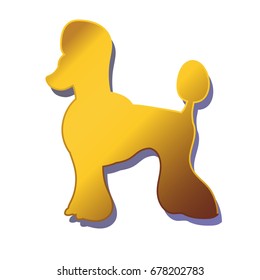 Silhouette of gold dog isolated on white background. Breed poodle. Vector illustration.  