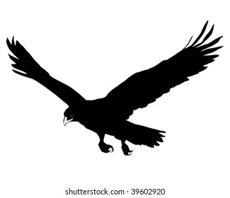 Silhouette Of Golden Eagle