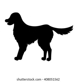  Silhouette of golden retriever isolated on white background. Funny dog. Vector illustration. Eps 10.