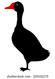 silhouette of goose