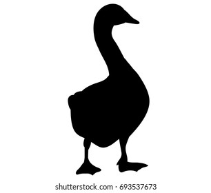 silhouette goose