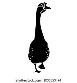 silhouette goose, on white background