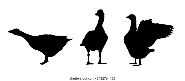 silhouette of a goose	- vector illustration