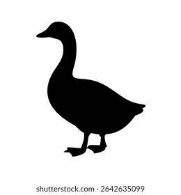 Silhouette of Goose Walking on Ground