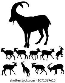 silhouette goose-goat, collection