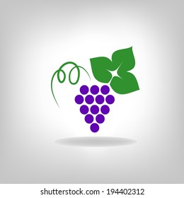 silhouette of grapes. Vector illustration. 