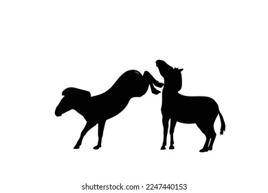 Silhouette graphic of two zebras fighting isolated on white background, vector illustration. Zebra icon, black and white zebra