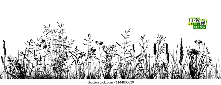 Silhouette of grass background