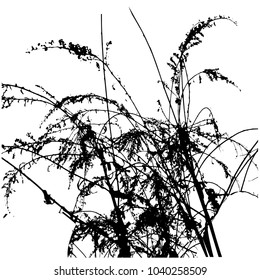Silhouette of grass. Background. Isolated vector illustration, graphic on white background.