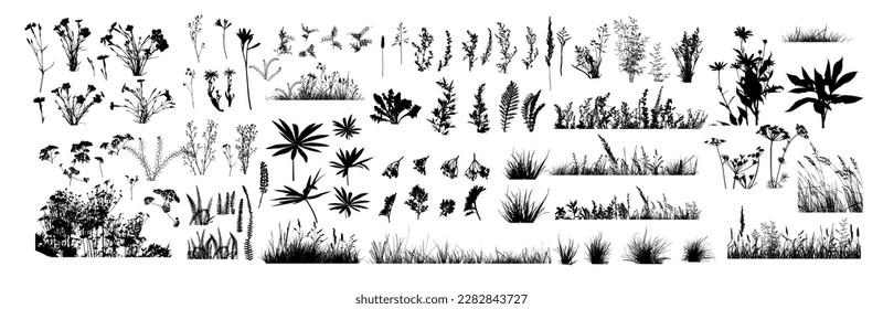 The silhouette of the grass big set. Vector illustration