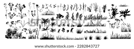 The silhouette of the grass big set. Vector illustration