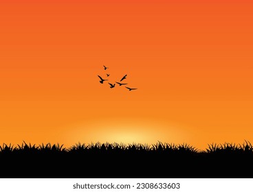 Silhouette of grass and birds at sunset background. Vector illustration