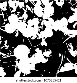 Silhouette of grass clover. Spring, young grass. Part of a green meadow. View from above. Isolated vector illustration. Background.