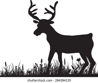 silhouette of grass and deer, plants landscape with elk, flowers and herbs, hand drawn vector illustration