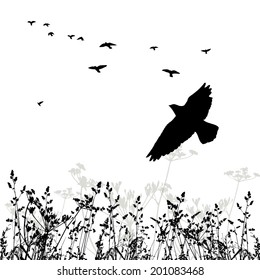 Silhouette of grass and flying birds. Vector