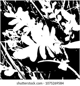 Silhouette of grass Lathyrus latifolius everlasting peas. Spring, young grass. Part of a flowering meadow. View from above . Isolated vector illustration. Transparent background.