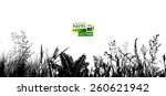 Silhouette of grass meadow. Background grass silhouette. Vector