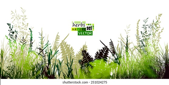 Silhouette of grass meadow watercolor. Vector