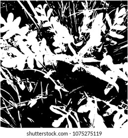 Silhouette of grass Mid-inflorescence of plant. Spring, young grass. Part of a flowering meadow. View from above . Isolated vector illustration. Transparent background.