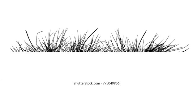 Silhouette of grass object