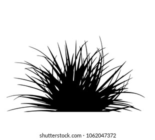 silhouette of grass on white background