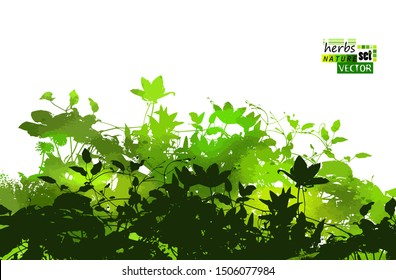 silhouette of grass on white background. Vector illustration