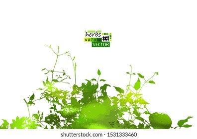 silhouette of grass on white background. Vector illustration
