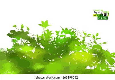 silhouette of grass on white background. Mixed media. Vector illustration