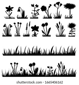 silhouette of grass and plants