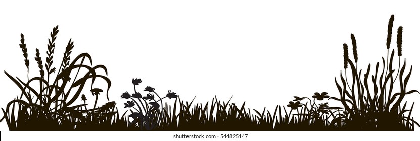 silhouette of grass and plants