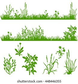 silhouette of grass and plants, in isolation,vector,