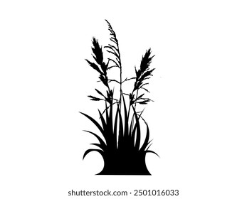 Silhouette of grass with reeds of marsh vegetation for design, brush