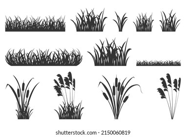 Silhouette of grass with reeds. Set of vector illustrations of black shadows of marsh vegetation for design