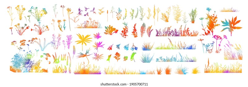 The silhouette of the grass set. Abstract background with colorful silhouettes of meadow wild herbs and flowers. Wildflowers. Floral background. Wild grass. Vector illustration.