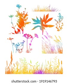 La silueta del césped. Fondo abstracto con coloridas siluetas de hierbas silvestres y flores. Flores silvestres. Fondo floral. Hierba salvaje. Ilustración vectorial.