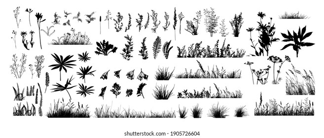 The silhouette of the grass set. Vector illustration