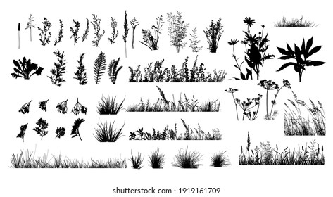 The silhouette of the grass set. Vector illustration