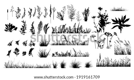 Similar – Image, Stock Photo A meadow plant silhouette in the sunset