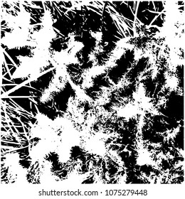 Silhouette of grass. Spiny weed. Spring, young grass. Part of a flowering meadow. View from above . Isolated vector illustration. Transparent background.